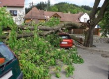 Kwikfynd Tree Cutting Services
gorgerock